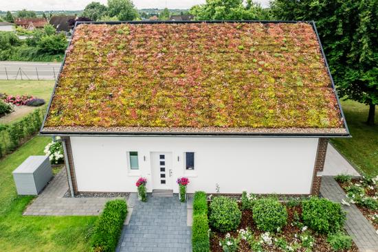 V1 Horneburg Ansicht Eingang