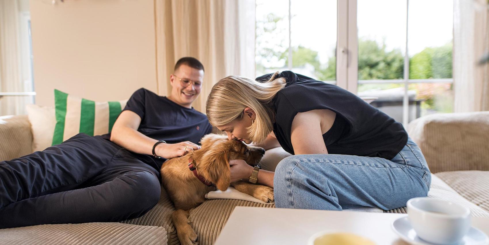 Frühe Bauherren fangen den Preisvorteil!