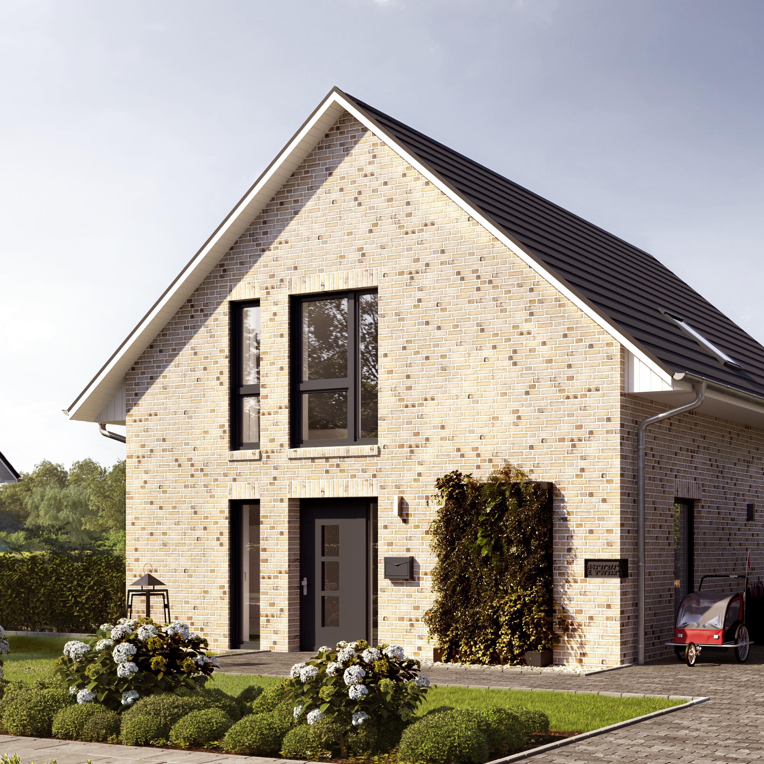 Giebeleingang vom Viebrockhaus Smart 262