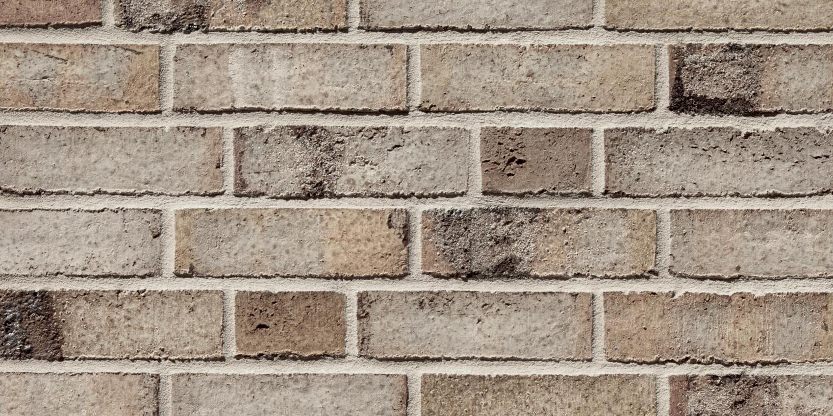 Viebrockhaus Selection Serie