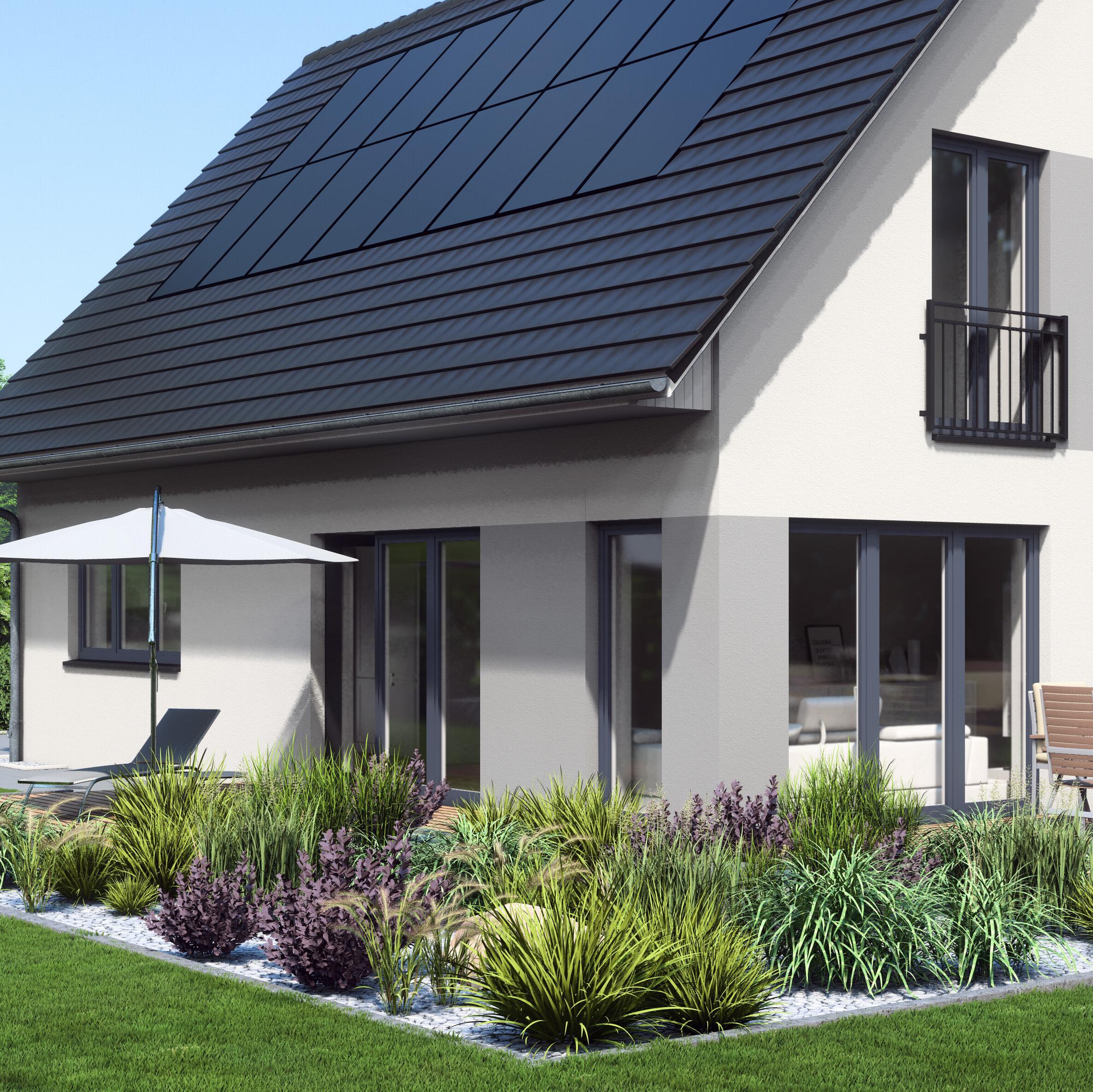 Farbige Putzflächen des Maxime 120