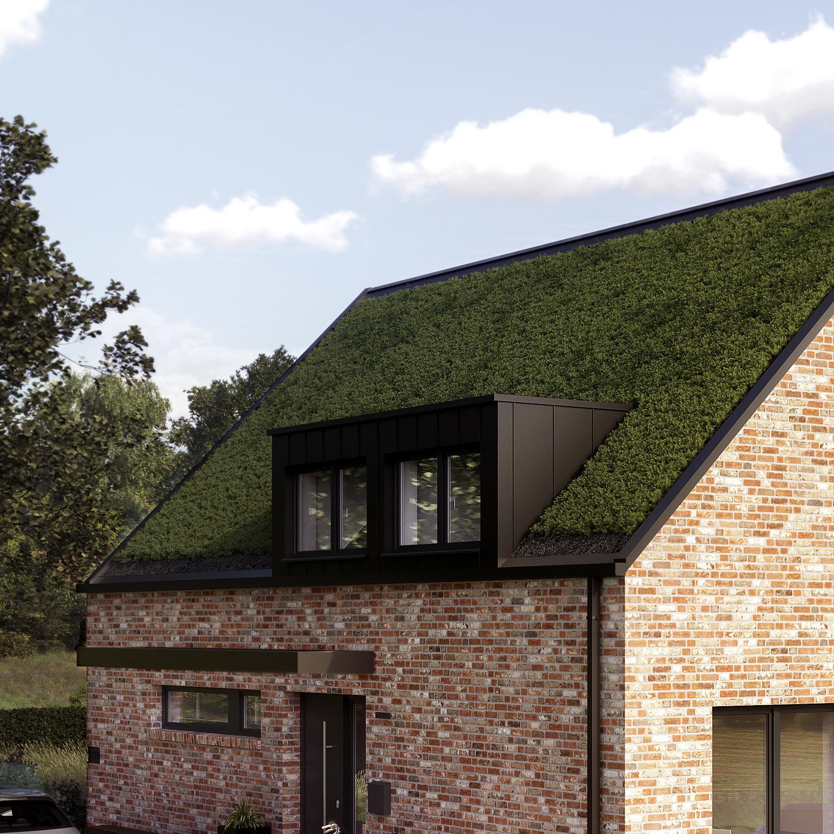 Gauben beim Edition 630